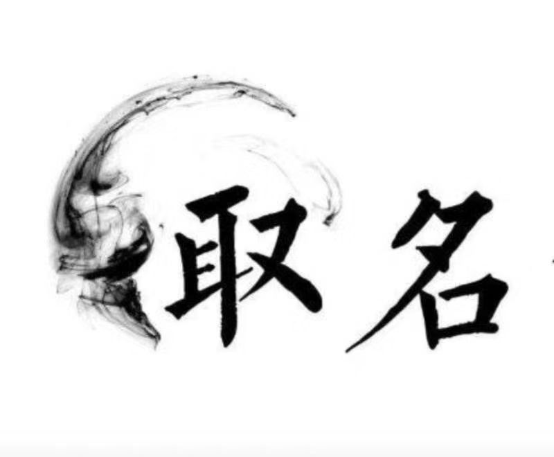  巴中市宝宝取名 大师一对一人工起名